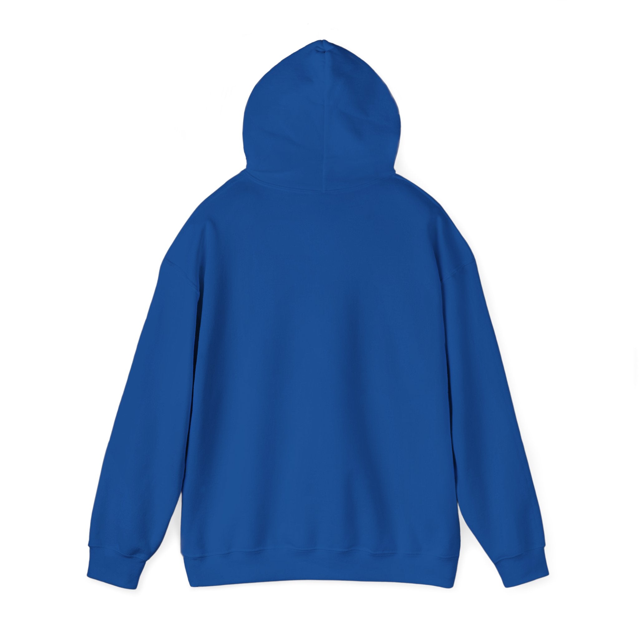 Bermuda fish Hoodie